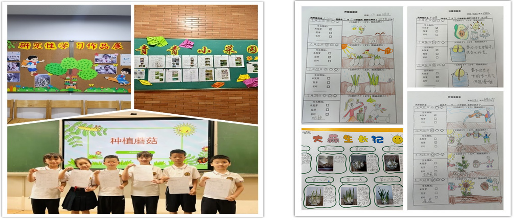 第12期研究性學(xué)習(xí)成果展示推送 - 副本_html_m7d1f5b1a.png 第12期研究性學(xué)習(xí)成果展示推送 - 副本_html_m7d1f5b1a.png